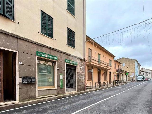 Appartamento in vendita a Grotte di Castro, Viterbo
