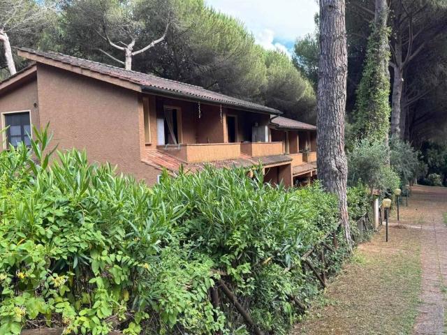 Appartamento in vendita a Guardistallo, Toscana