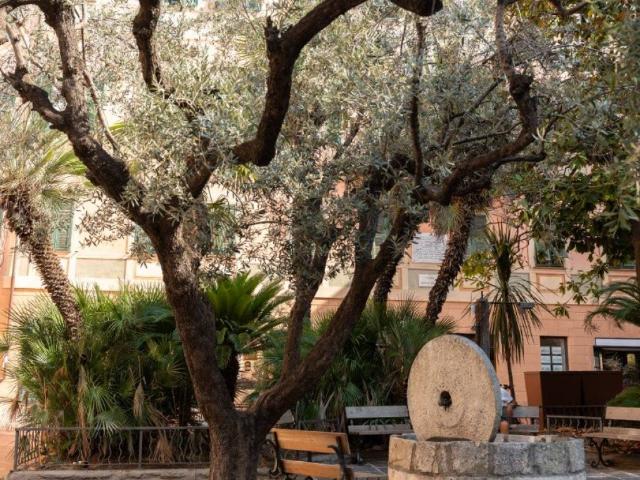 Appartamento in vendita a Imperia, Liguria