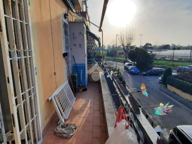 Appartamento in vendita a Torre Flavia, Roma Capitale