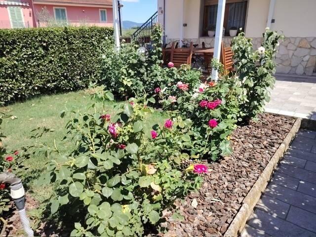 Appartamento in vendita a Lamporecchio, Toscana