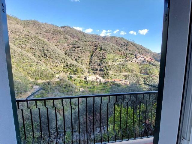 Appartamento in vendita a Vignana di Sopra, Levanto