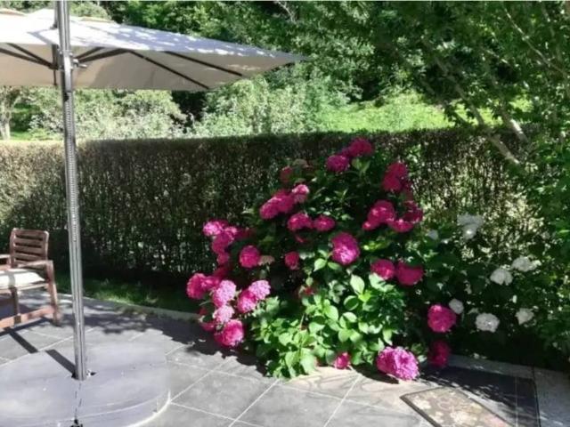 Appartamento in vendita a Lillianes, Aosta