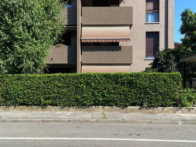 Appartamento in vendita a Cascina Convenio, Lissone