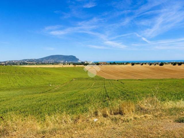 Appartamento in vendita a Marche, Ancona