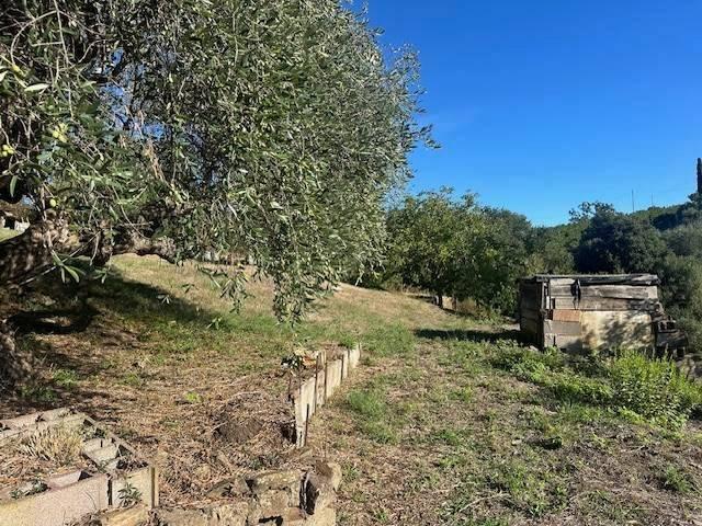 Appartamento in vendita a Magliano In Toscana, Toscana