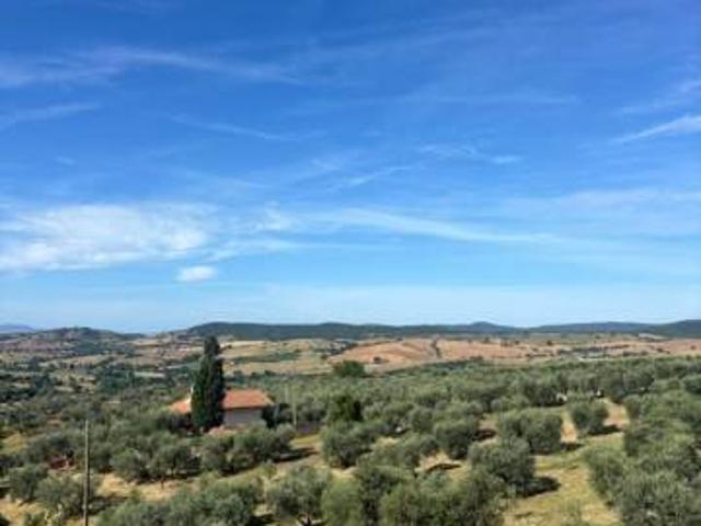 Appartamento in vendita a Montiano, Magliano In Toscana