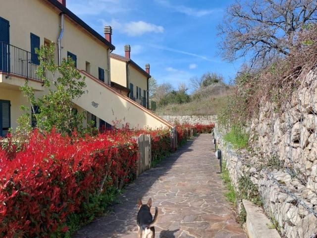 Appartamento in vendita a Unione di Comuni Montani Colline del Fiora, Manciano