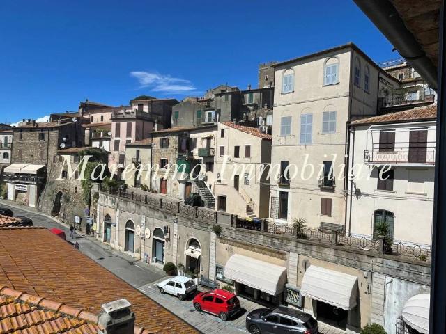 Appartamento in vendita a Unione di Comuni Montani Colline del Fiora, Manciano