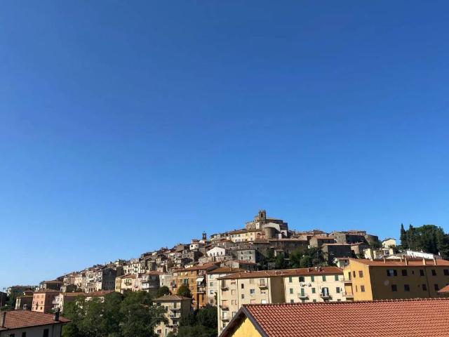 Appartamento in vendita a Manciano, Grosseto