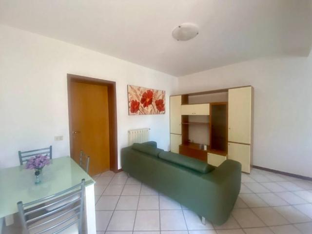 Appartamento in vendita a Manerbio, Brescia