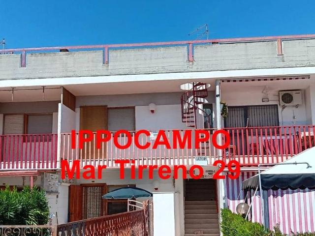 Appartamento in vendita a Ippocampo, Puglia