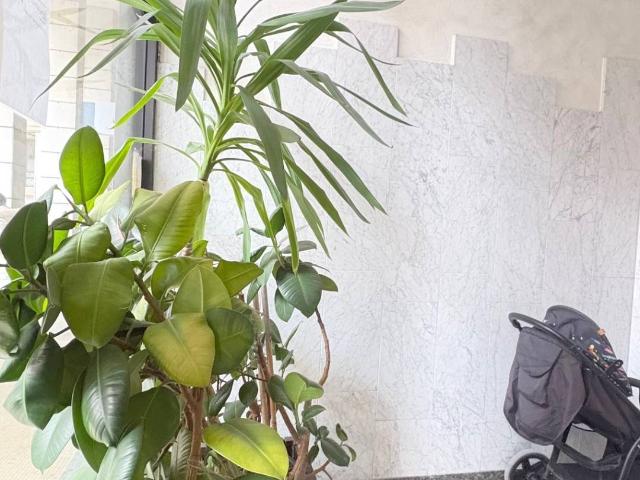 Appartamento in vendita a Fiera-Catena, San Giorgio Di Mantova