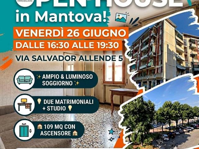 Appartamento in vendita a Valletta Valsecchi, San Giorgio Di Mantova