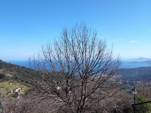 Appartamento in vendita a Il Tasso, Marciana