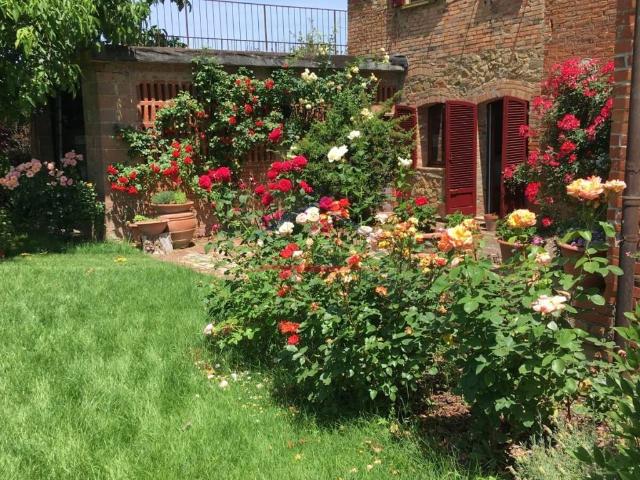 Appartamento in vendita a Badicorte, Marciano della Chiana