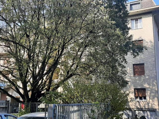 Appartamento in vendita a Mariano Comense, Lombardia