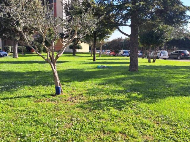 Appartamento in vendita a Marigliano, Campania