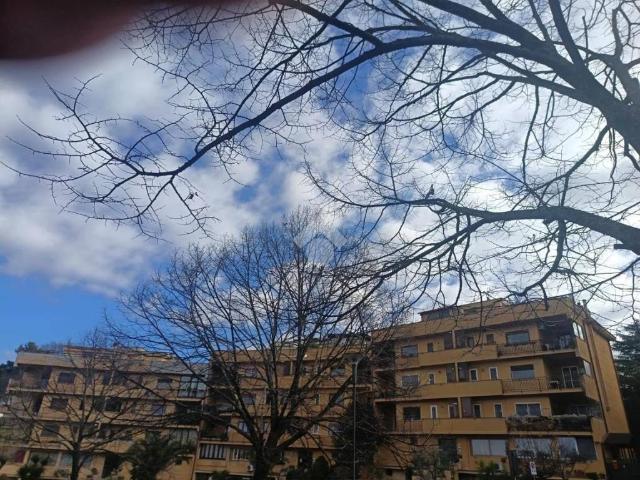 Appartamento in vendita a Roma Capitale, Lazio