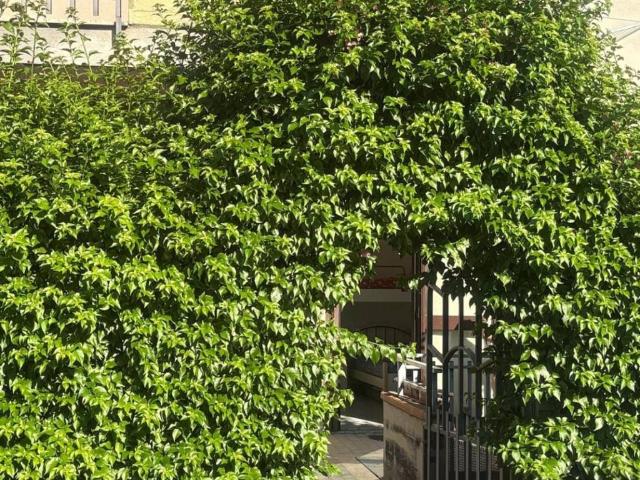 Appartamento in vendita a Mascali, Sicilia