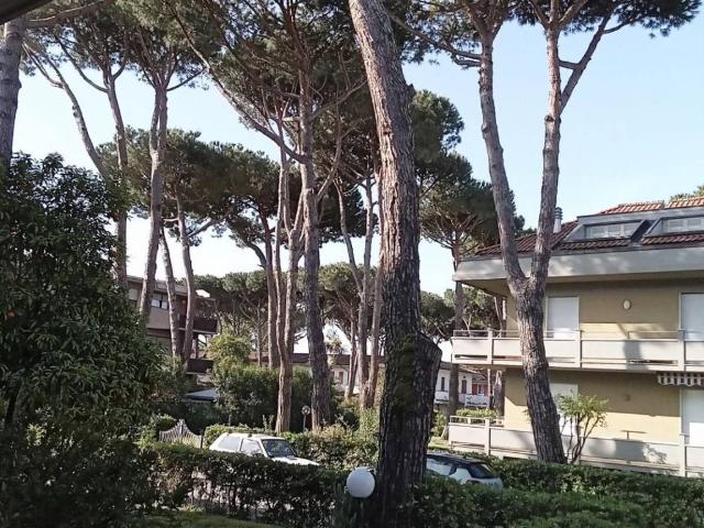 Appartamento in vendita a Marina di Massa, Marina Di Massa
