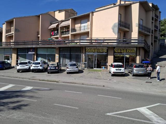 Appartamento in vendita a Medesano, Ramiola