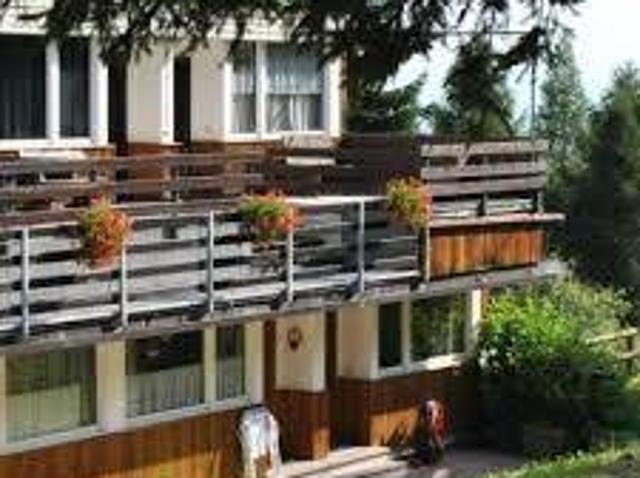 Appartamento in vendita a Comunità della Valle di Sole, Mezzana