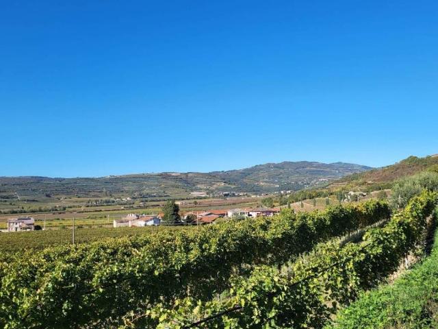 Appartamento in vendita a Casale, Mezzane di Sotto