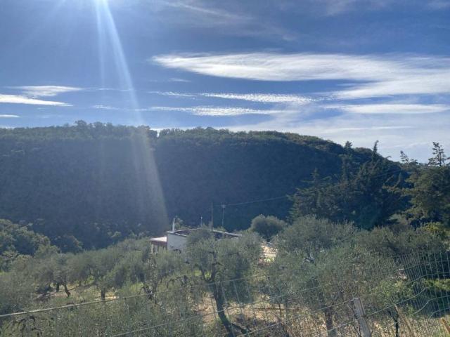 Appartamento in vendita a Miglionico, Basilicata
