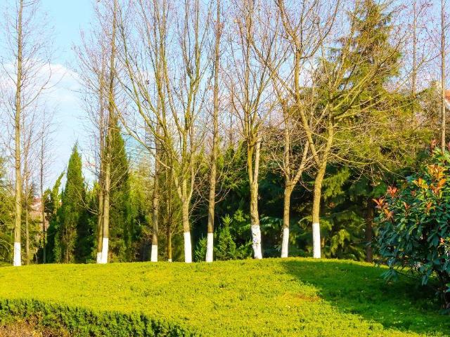 Appartamento in vendita a Lampugnano, Milano