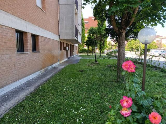 Appartamento in vendita a Unione Comuni Modenesi Area Nord, Mirandola