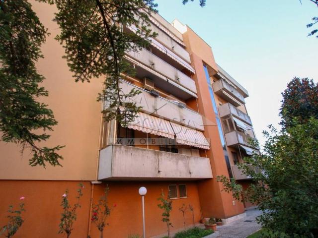 Appartamento in vendita a Unione Comuni Modenesi Area Nord, Mirandola