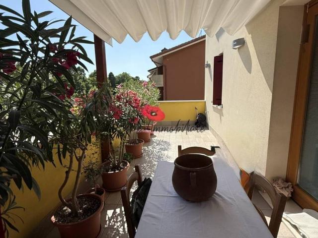 Appartamento in vendita a Olme, Mogliano Veneto