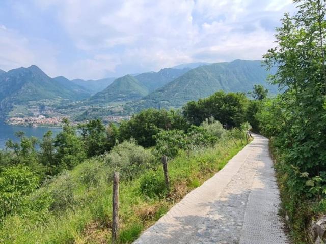 Terreno in vendita a Comunità montana del Sebino bresciano, Monte Isola