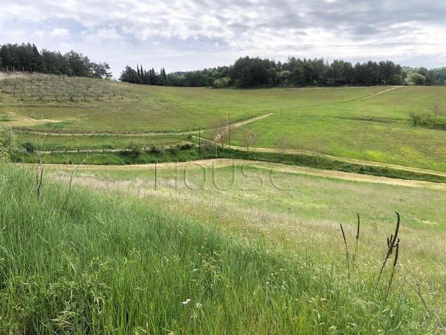Appartamento in vendita a Monte Santa Maria Tiberina, Umbria
