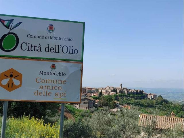 Appartamento in vendita a San Martino, Montecchio
