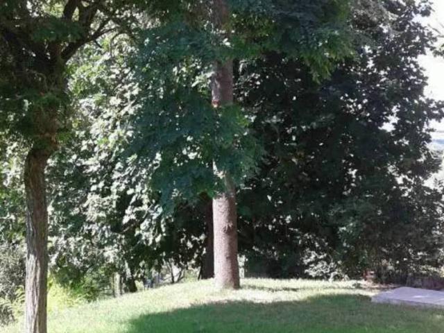 Appartamento in vendita a Marche, Pesaro E Urbino