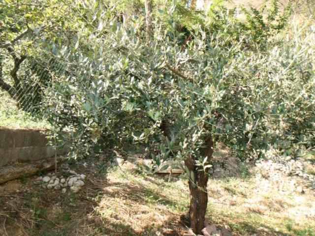 Appartamento in vendita a San Giovanni, Marche