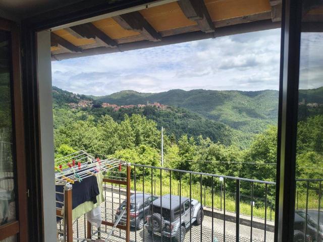 Appartamento in vendita a Montemignaio, Toscana