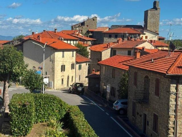 Appartamento in vendita a Montemignaio, Arezzo