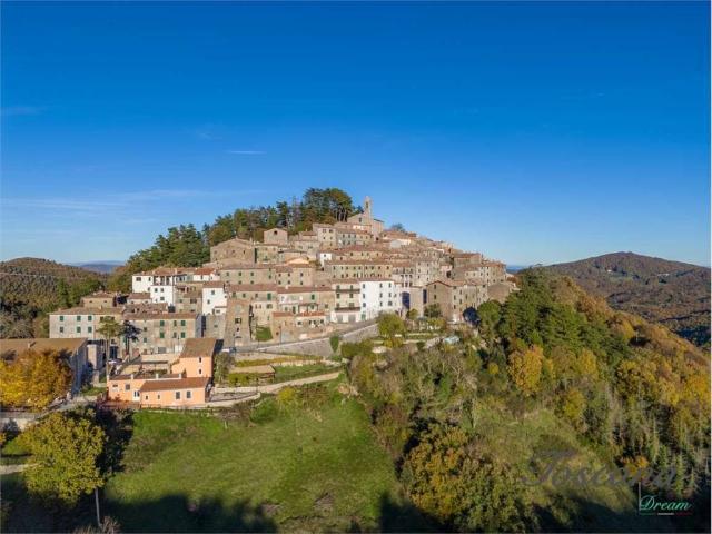 Appartamento in vendita a Gerfalco, Montieri
