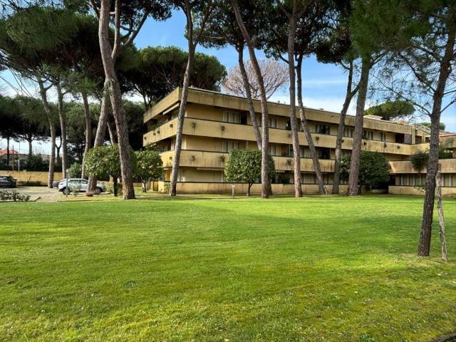 Appartamento in vendita a Montignoso, Toscana