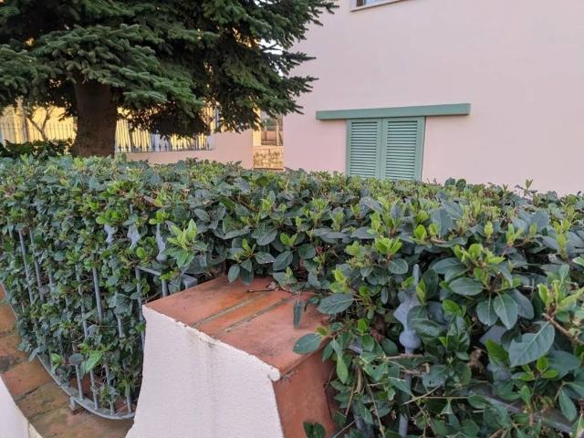 Appartamento in vendita a Montopoli In Val D'arno, Toscana