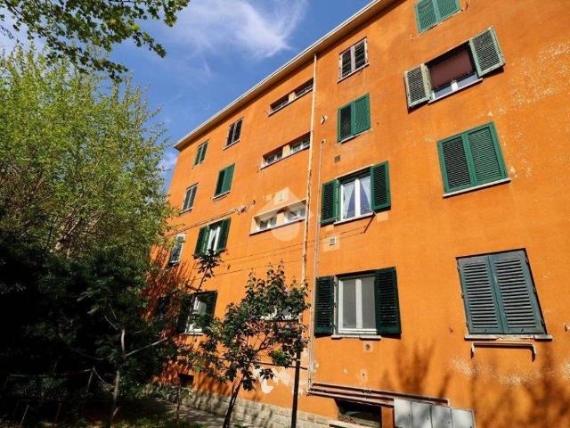 Appartamento in vendita a Riostorto, Muggiò