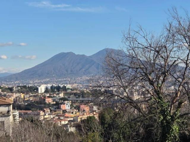 Appartamento in vendita a Municipalità 3, Campania