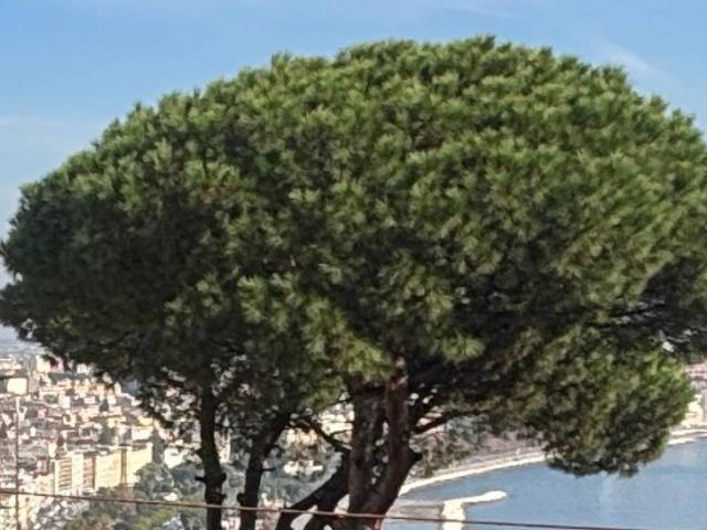 Appartamento in vendita a Municipalità 1, Campania