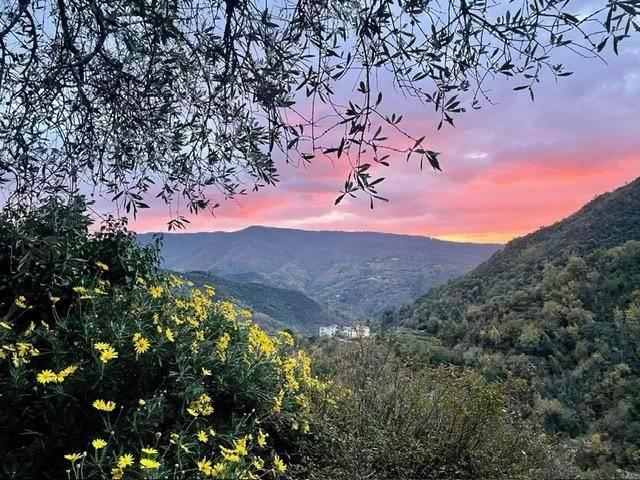 Appartamento in vendita a San Biagio di Chiesanuova, Conscenti