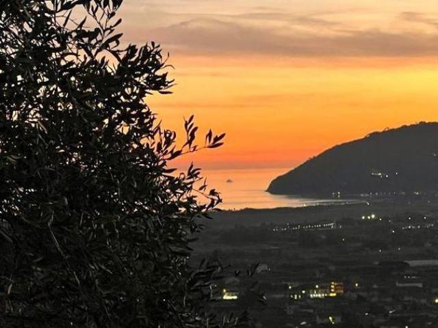 Appartamento in vendita a Luni, Liguria