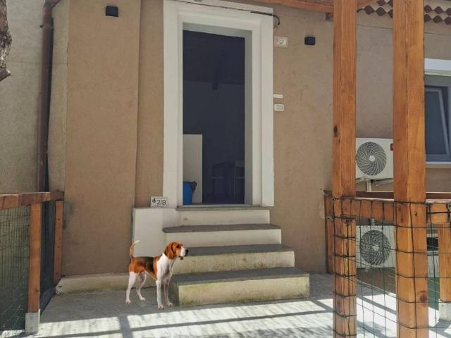Appartamento in vendita a Ogliastro Cilento, Campania
