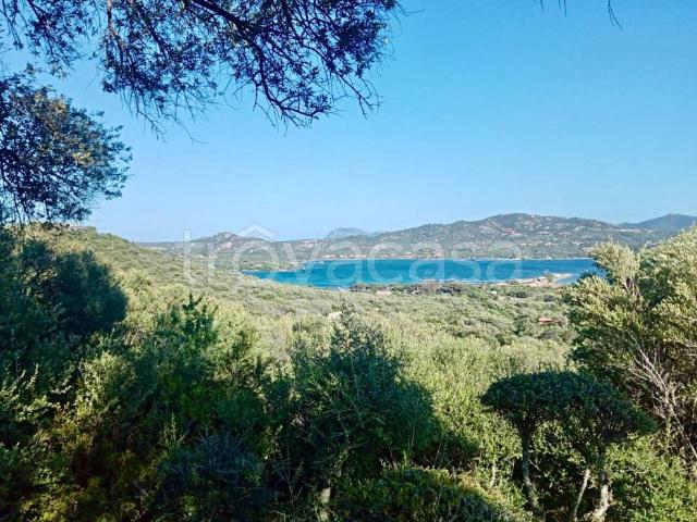 Appartamento in vendita a Cugnana Verde, Olbia
